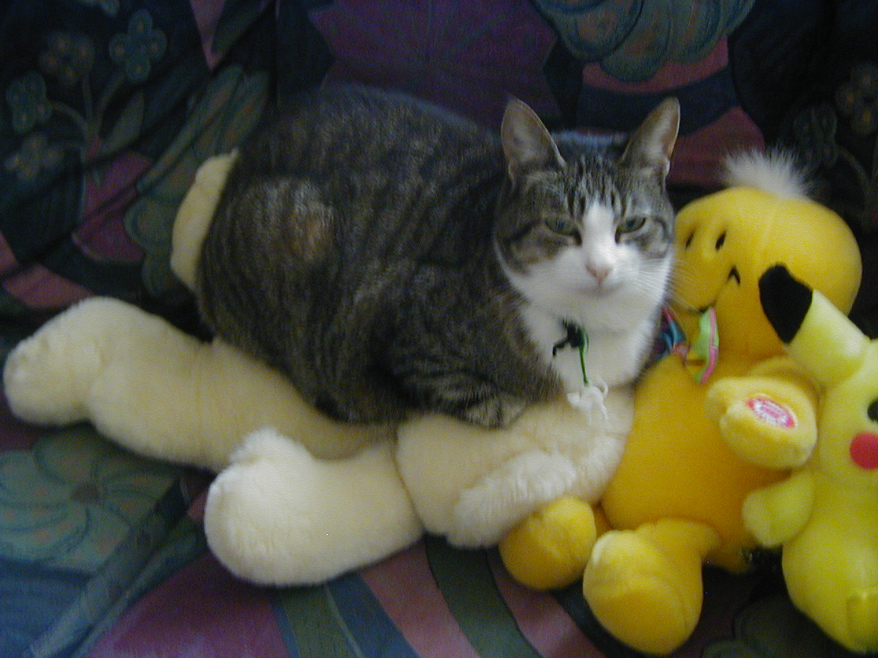 minet.jpg